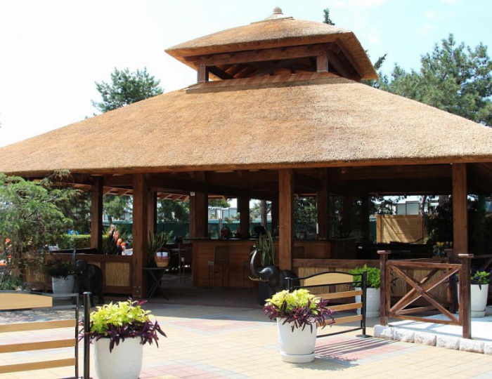 Бар и пиццерия «Тропикана» - Гранд отель «Жемчужина»