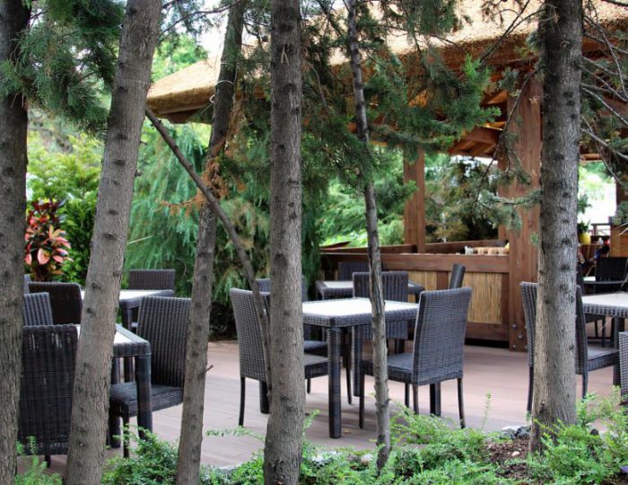 Бар и пиццерия «Тропикана» - Гранд отель «Жемчужина»